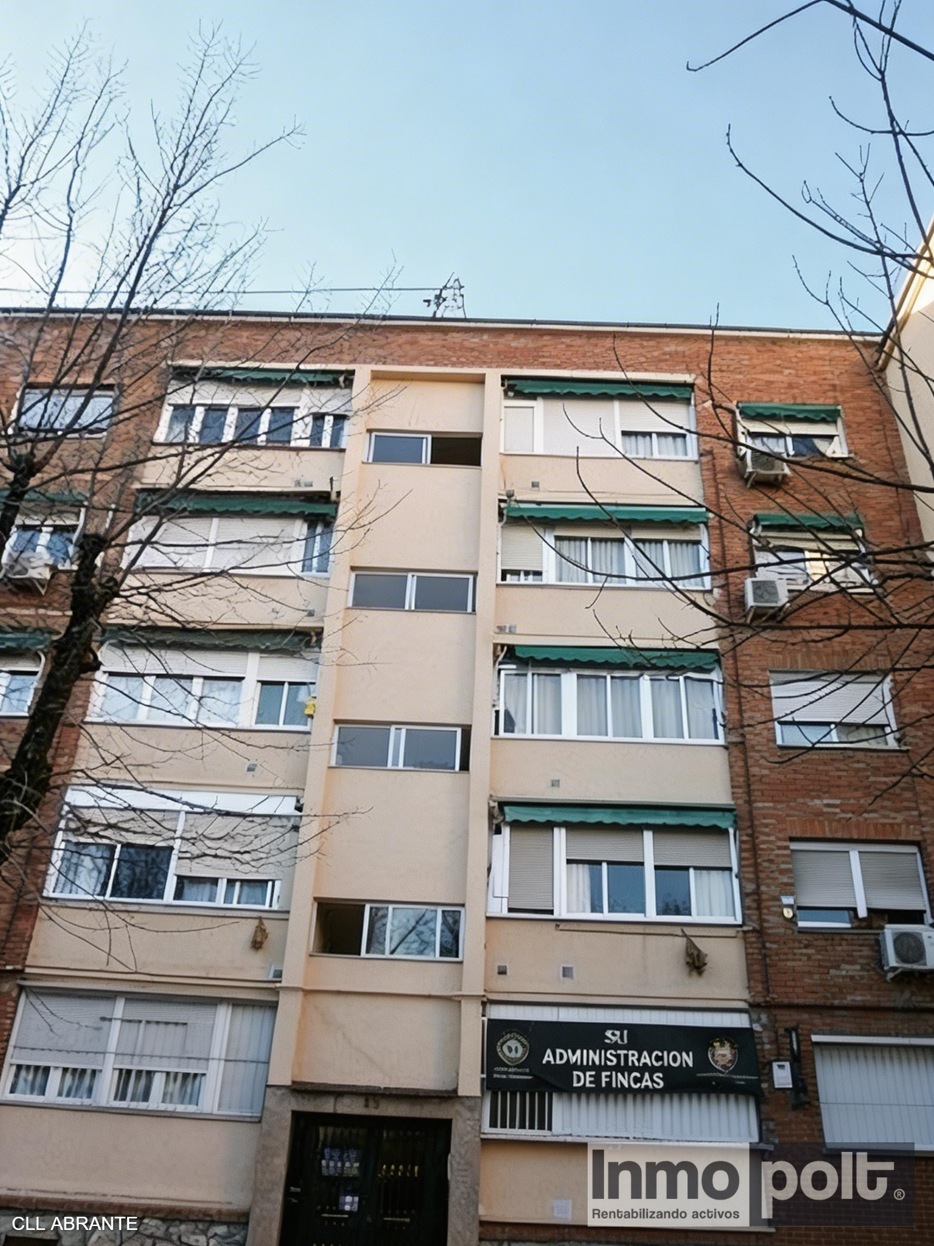 50090_CLL ABRANTE (23).jpg